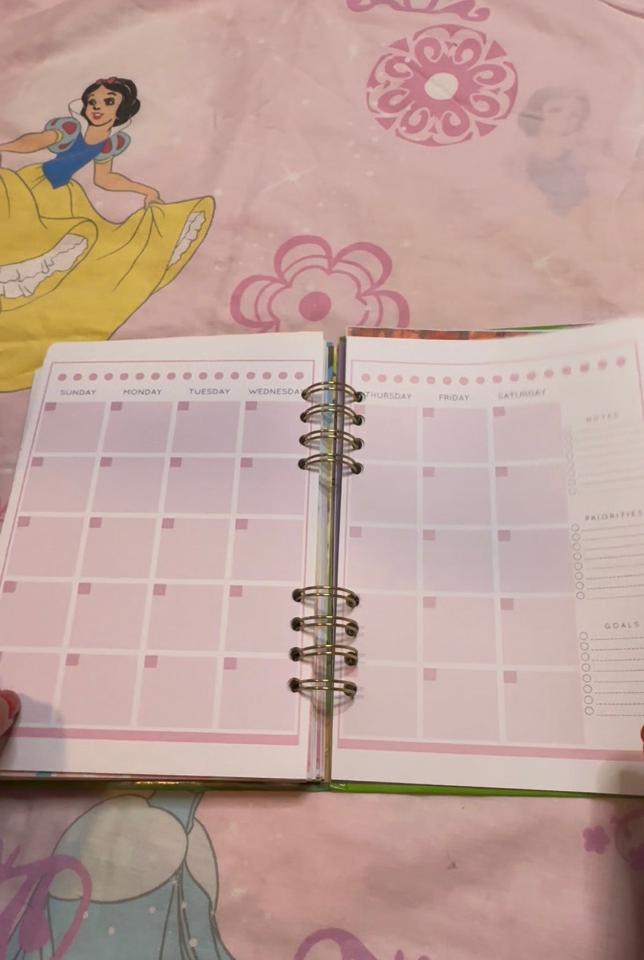 Bambi Tabbed Book Agenda