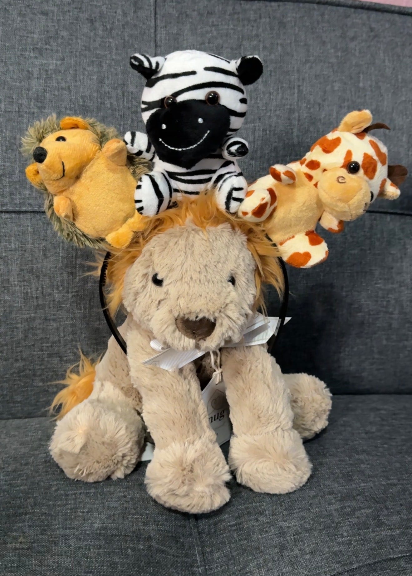 Safari Pals Headbands